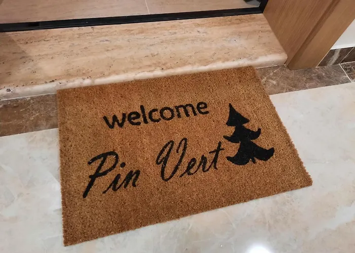 Pin Ζλάτιμπορ